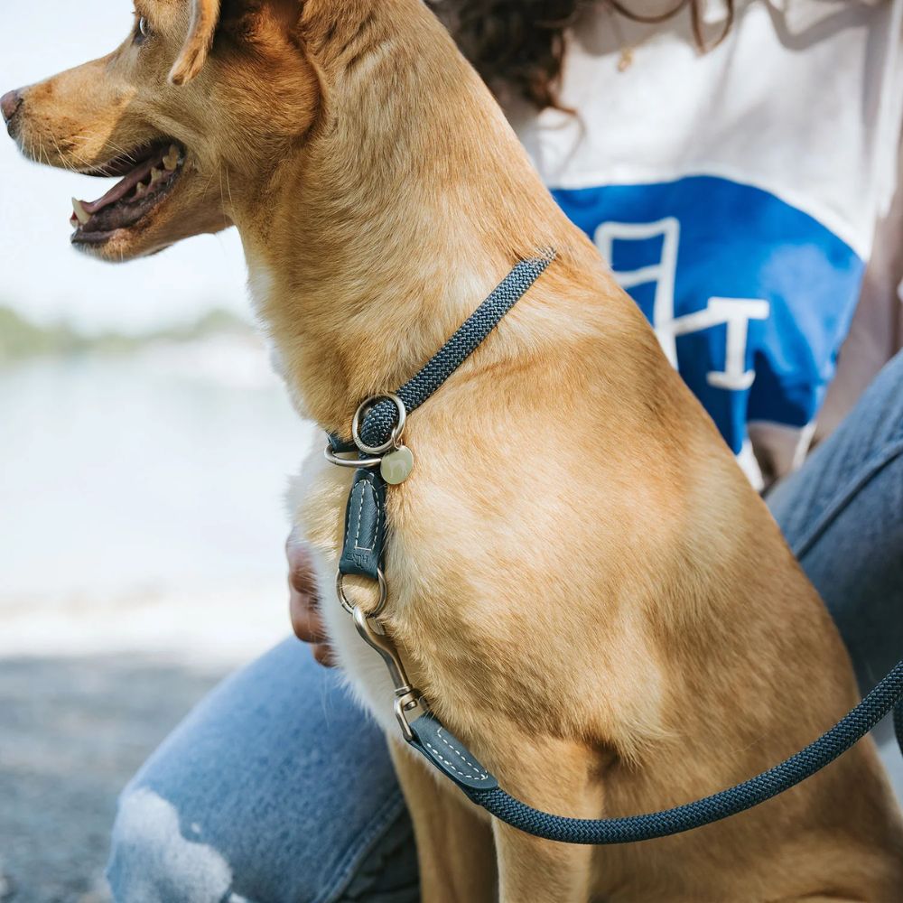 Hunter Estrangulador Malibu Azul Escuro - Image 3