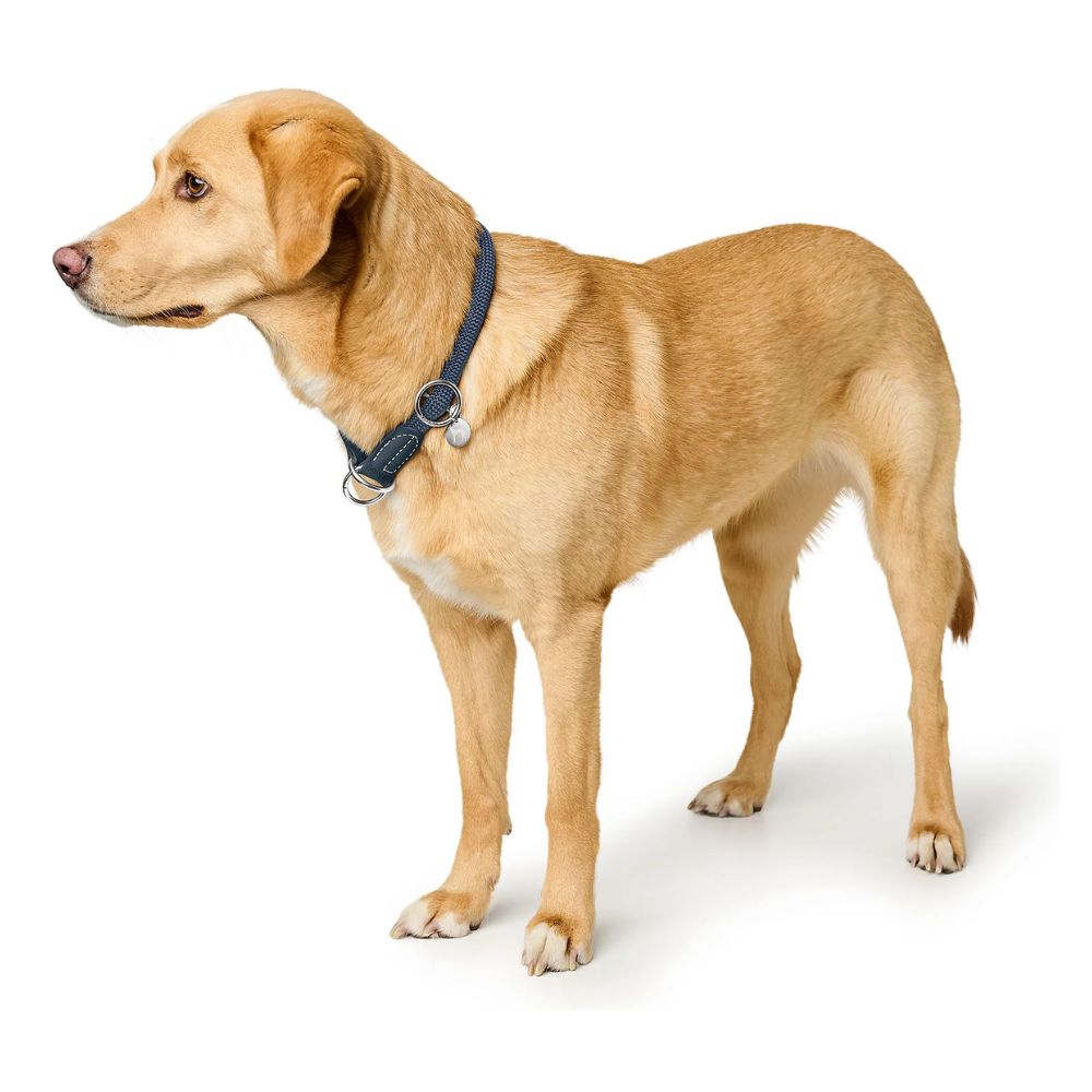 Hunter Estrangulador Malibu Azul Escuro - Image 5