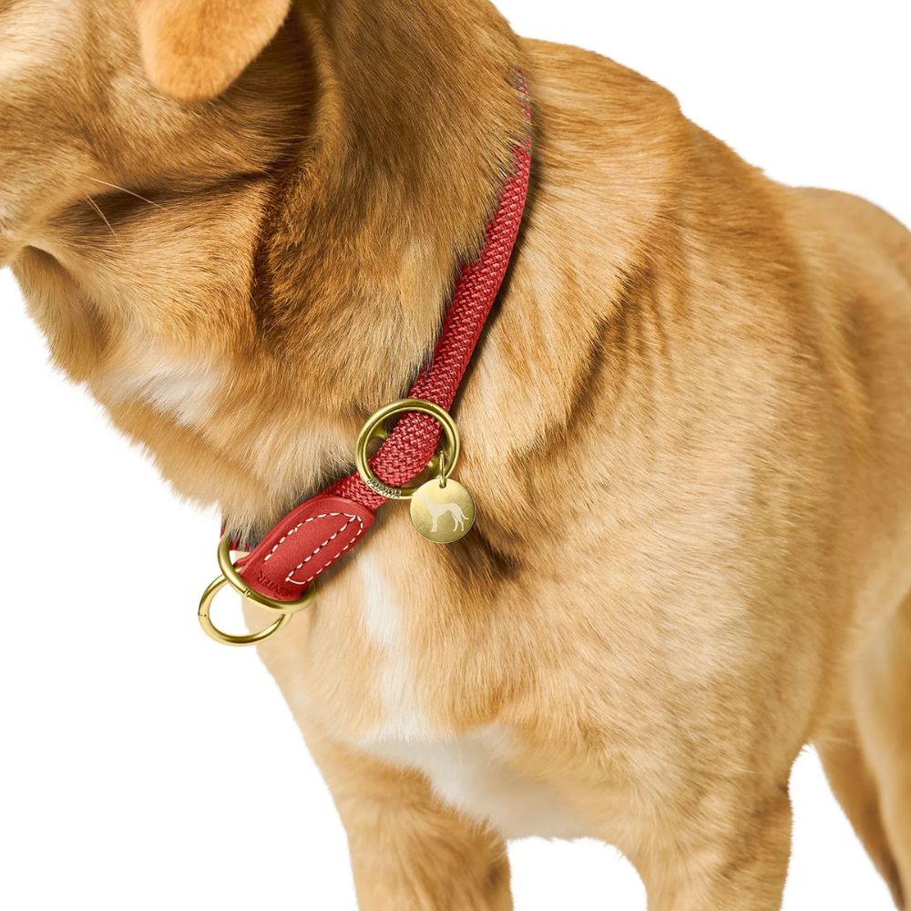 Hunter Estrangulador Malibu Coral - Image 6