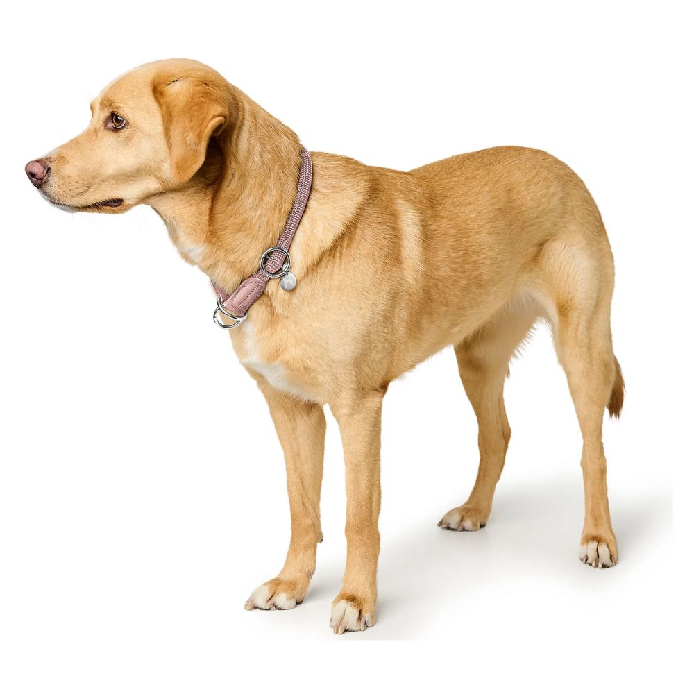 Hunter Estrangulador Malibu Rosa Claro - Image 4