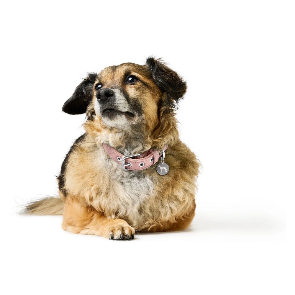 Hunter Coleira Malibu Rosa Claro - Image 5