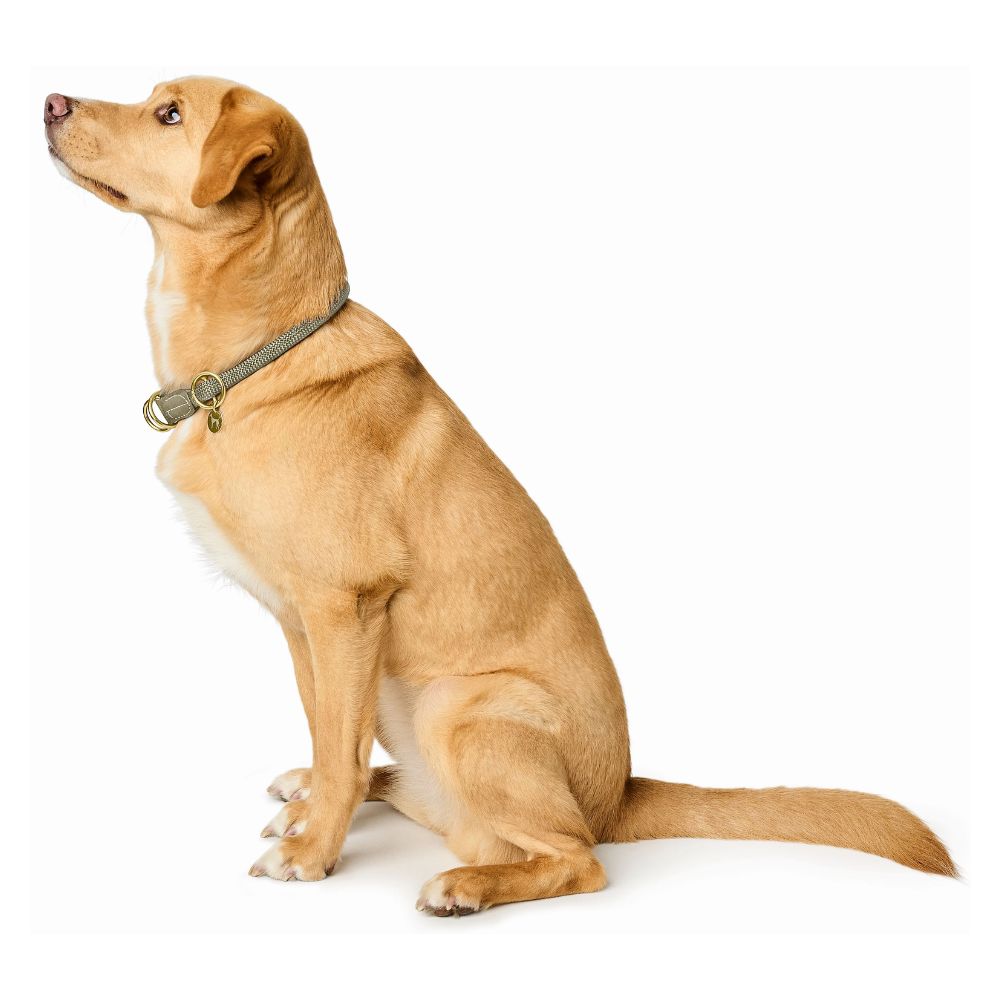 Hunter Estrangulador Malibu Verde - Image 2