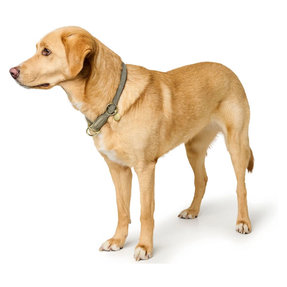 Hunter Estrangulador Malibu Verde - Image 4