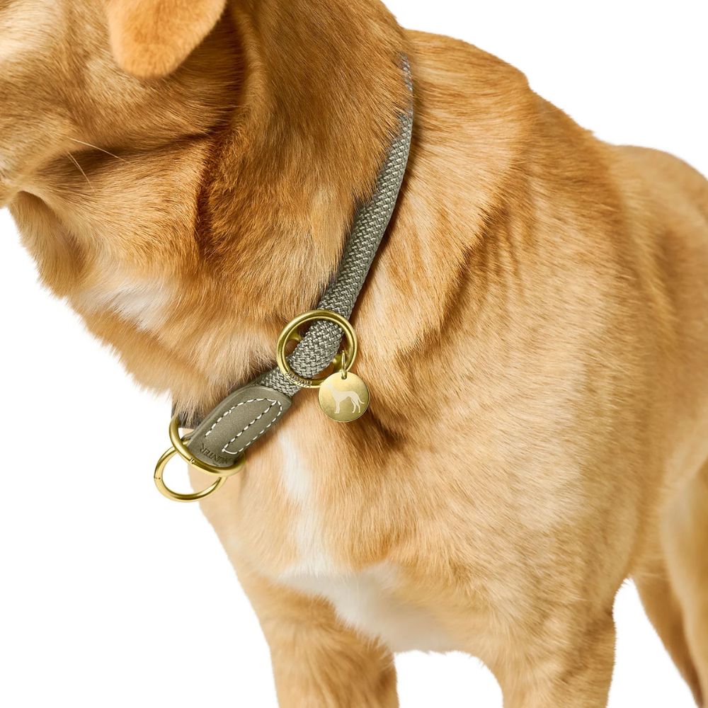 Hunter Estrangulador Malibu Verde - Image 6