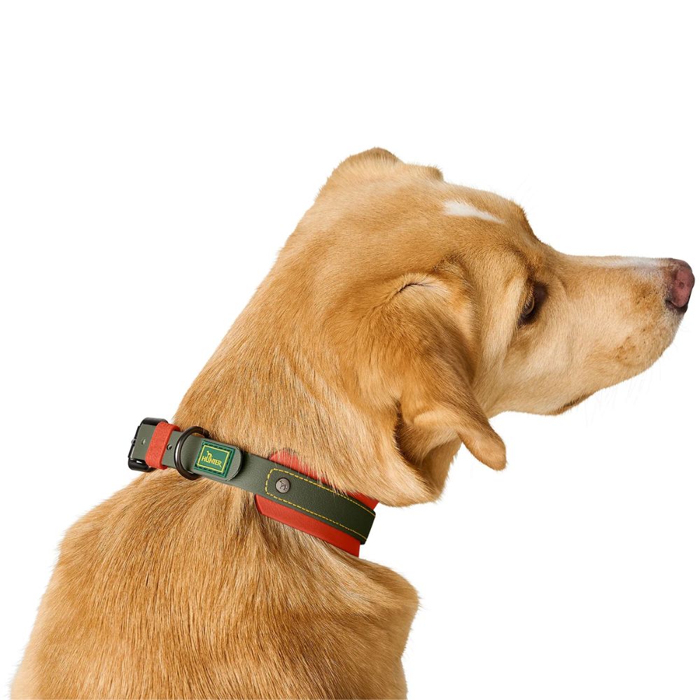 Hunter Coleira Havanna Verde/Laranja 60 L - Image 7