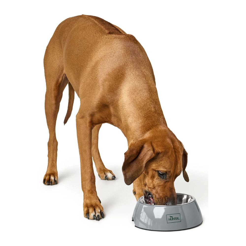 Hunter Comedouro Melamine Bielefeld Cinza - Image 2