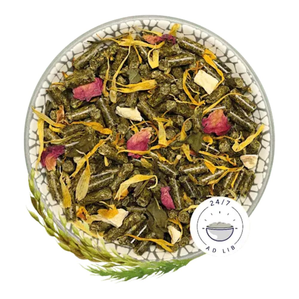 Bunny Alimento Chinchila Basic 1,2 KG - Image 2