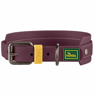 Hunter Coleira Havanna Amora 55 M/L