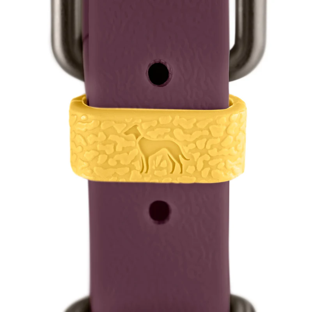 Hunter Coleira Havanna Amora 55 M/L - Image 3