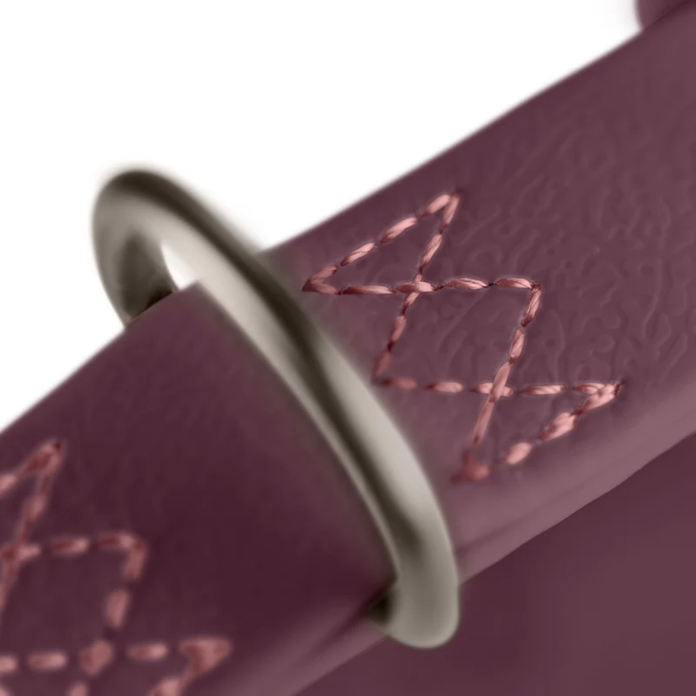 Hunter Coleira Havanna Amora 55 M/L - Image 4