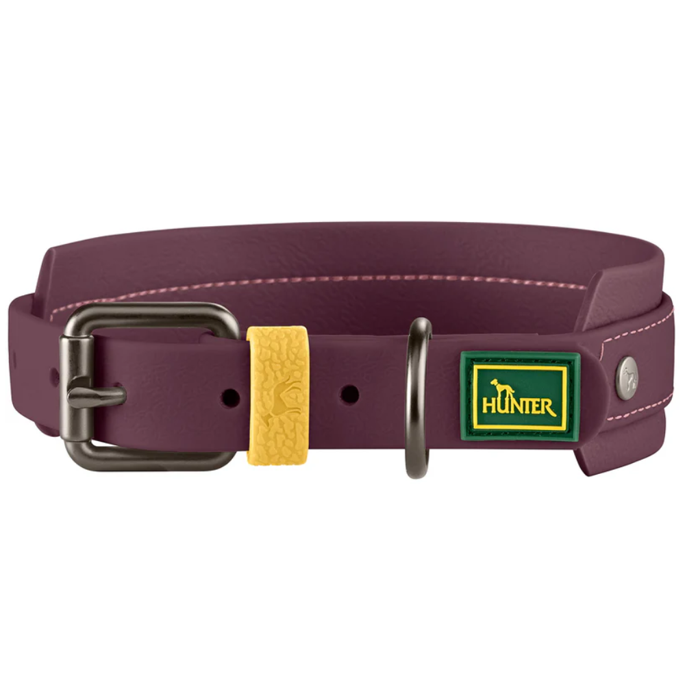 Hunter Coleira Havanna Amora 55 M/L