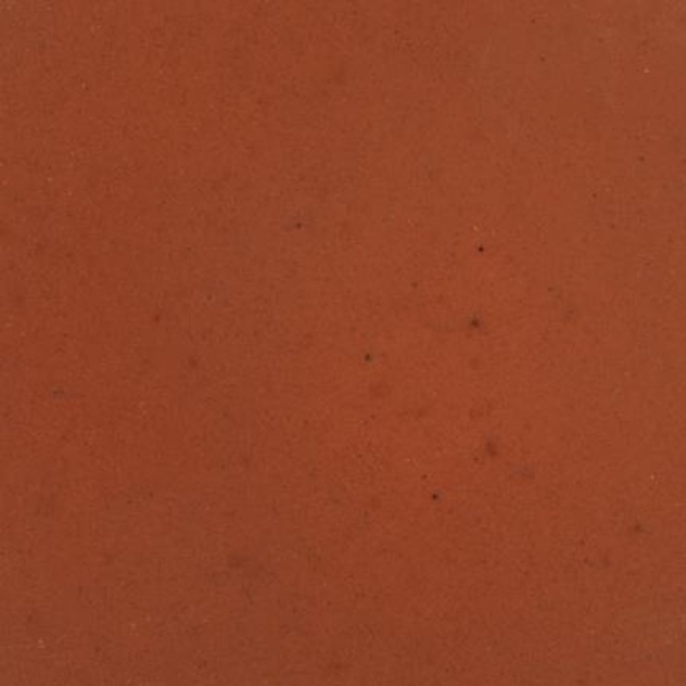Tropical Gel Formula Carnivore 35GR - Image 2