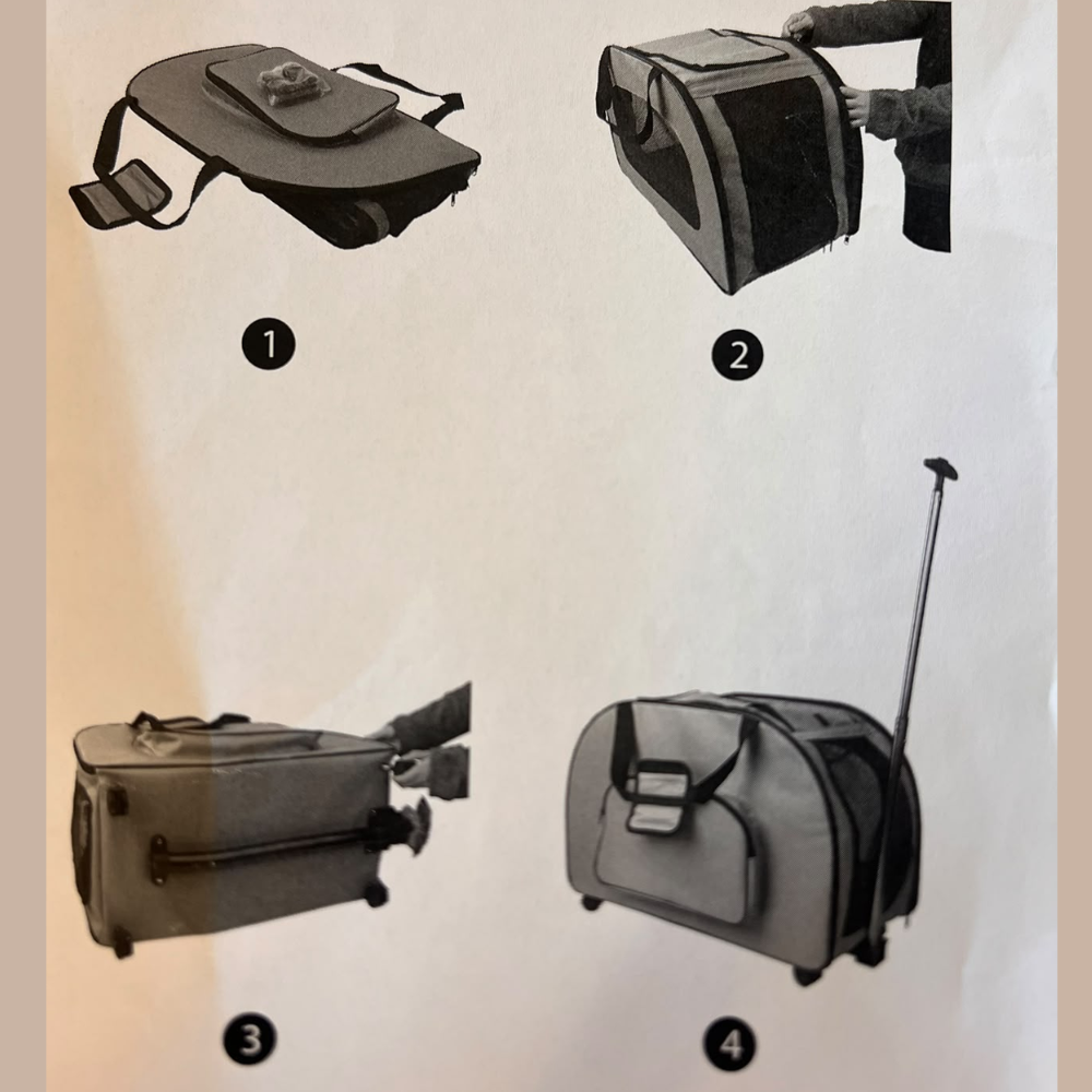 Transportadora Trolley - Image 2