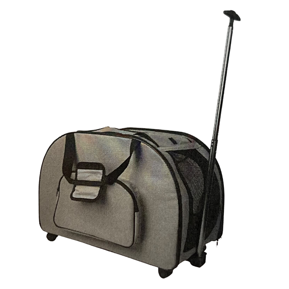 Transportadora Trolley