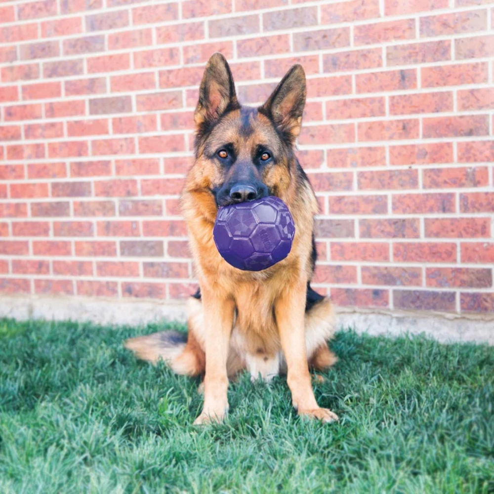 Hunter Kong FLEXBALL M - Image 3