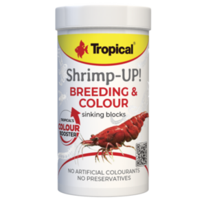 Tropical Shrimp-UP! Breeding & Colour