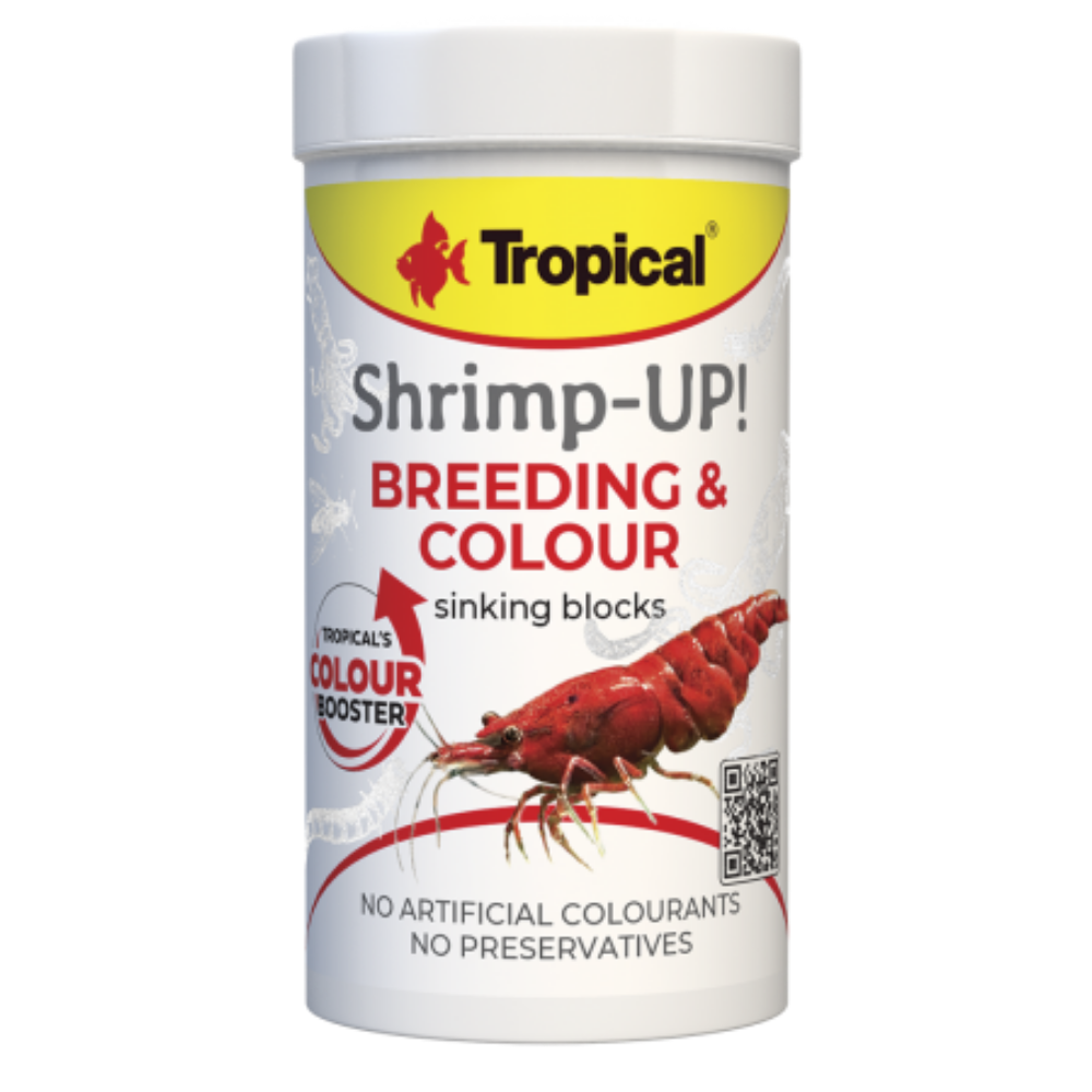 Tropical Shrimp-UP! Breeding & Colour