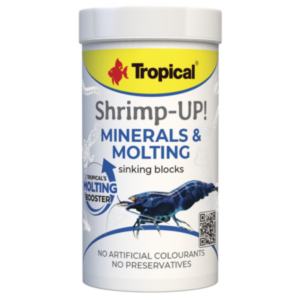 Tropical Shrimp-UP! Minerals & Molting