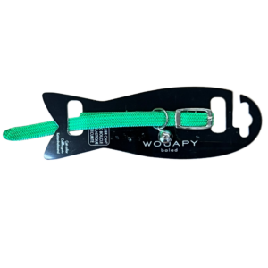 Coleira Gato Elástico Verde Neon